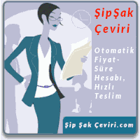 Şip Şak Çeviri - Hızlı Teknik Ticari Çeviri